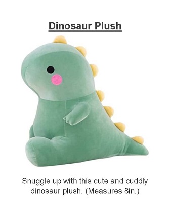Prize raffle - dinosaur plush
