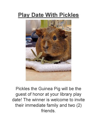 Prize raffle - Play Date With Pickles the guinea pig