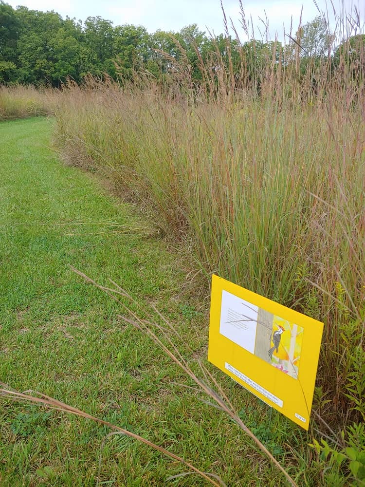 Yellow sign with book page in front of tall prairie grass